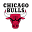 Bulls logo